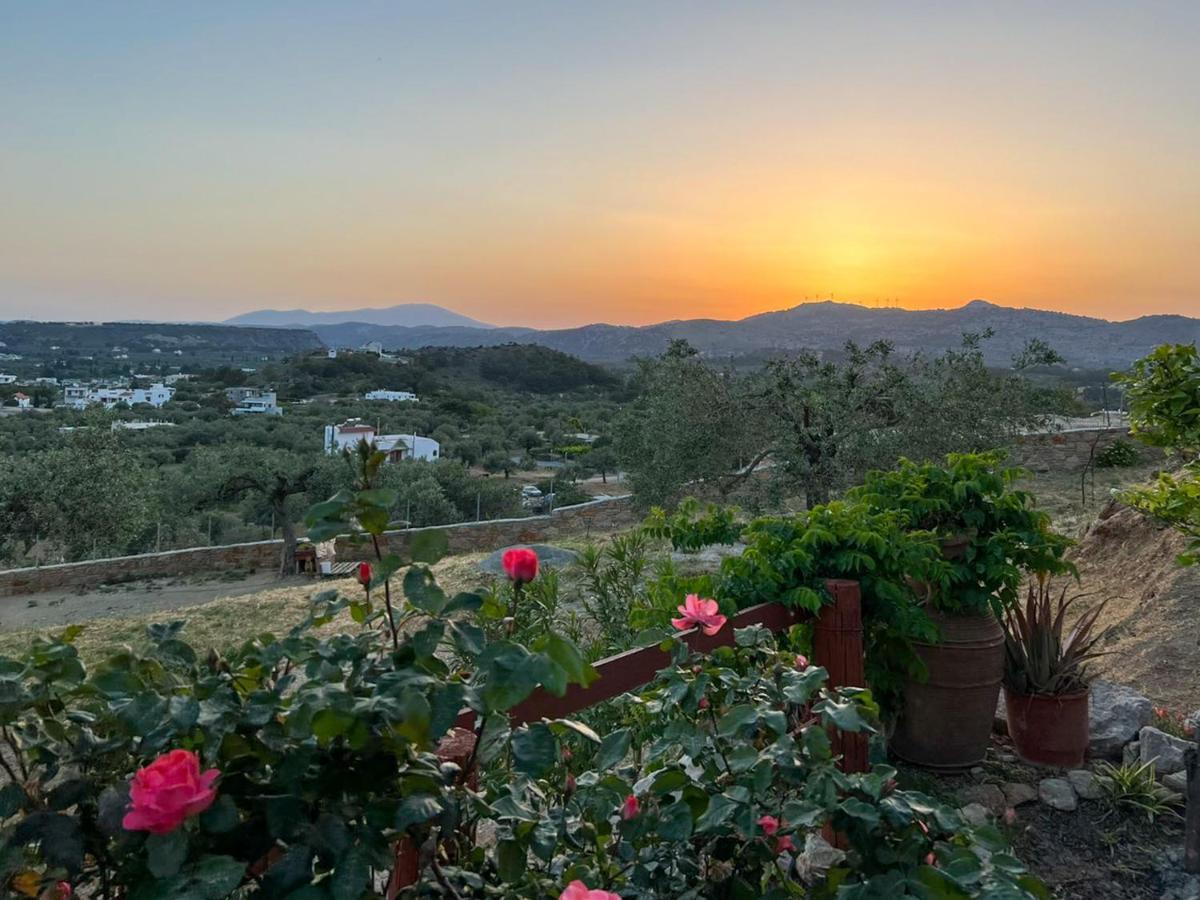 Rhodes Traditional Cottage With Private Garden Archangelos  Exterior foto